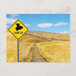 Heben Sie die Augen für Schweine, die fliegen könn Postkarte