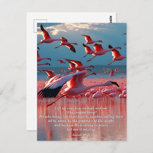 Heben Sie Ihre Augen auf Hoher, Gott & Schöpfung V Postkarte (Vorne/Hinten)
