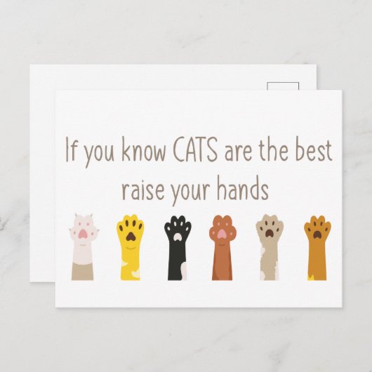 Heben Sie Ihre Hände Katzen sind das beste Fun-Zit Postkarte (Vorne/Hinten)