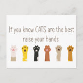 Heben Sie Ihre Hände Katzen sind das beste Fun-Zit Postkarte (Vorderseite)