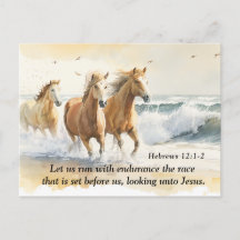 Hebräer 12:1 Ließ uns mit dem Ausdauerbibelpferd z