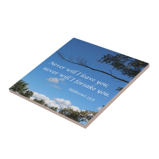 Hebräer 13:5 Ich werde euch nie verlassen Fliese (Seite)