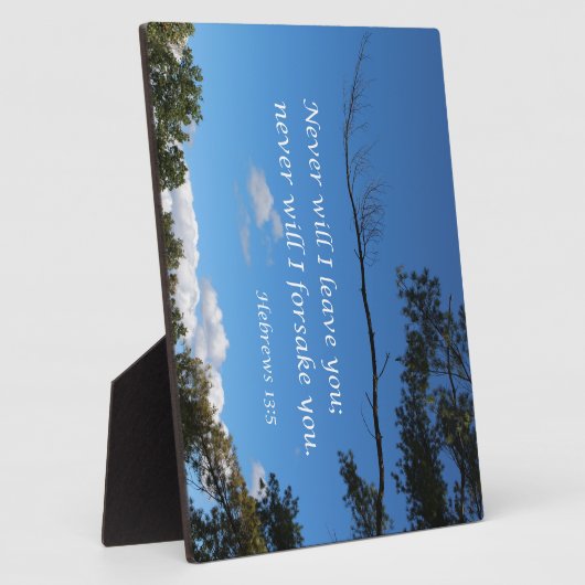 Hebräer 13:5 Ich werde euch nie verlassen Fotoplatte (Seite)