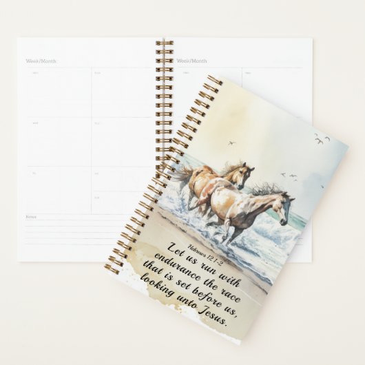 Hebräische 12 1-2 Lauf mit der Endurance Horse Bib Planer (Anzeige)