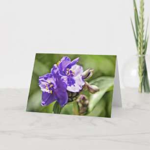 Hebräische Blume-Schrift 11:1 Karte