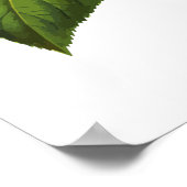 Hebräischer Segen für Shabbat Candles Hydrangea Poster (Ecke)