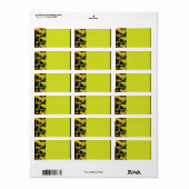 HEBREW LETTERS TREIBEN Drucken Sie Ihr eigenes Lab Adressaufkleber (Vorne)