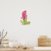 Hebrideaui-Orchid: Dactylorhza majalis Poster (Küche)