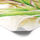 Hebrideaui-Orchid: Dactylorhza majalis Poster (Ecke)