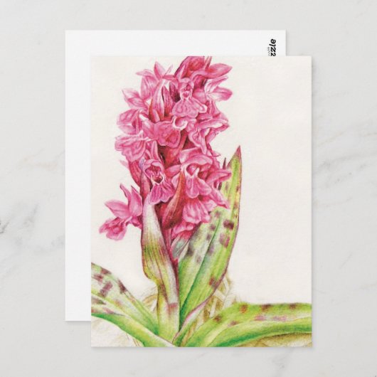Hebrideaui Orchidee, Wasserfarben-Postkarte Postkarte (Vorne/Hinten)