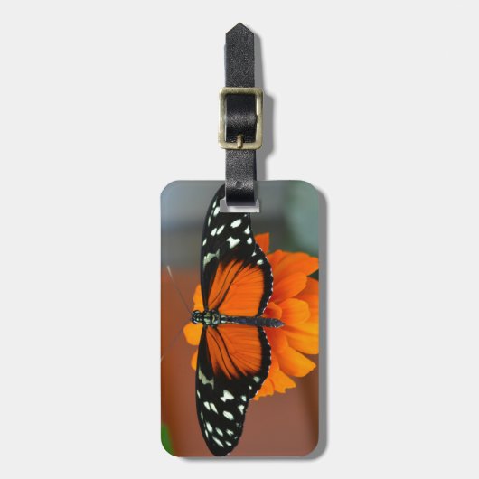 Hecale Longwing Butterfly Gepäckanhänger (Vorderseite vertikal)