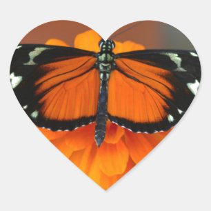 Hecale Longwing Butterfly Herz-Aufkleber
