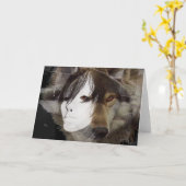 Hecate im Mondschein (Karte) Karte (Gelbe Blume)