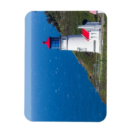 Heceta Head Lighthouse in der Nähe von Florenz Magnet (Vertikal)