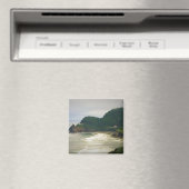 Heceta Head Lighthouse, OR Magnet (In Situ (Geschirrspüler))