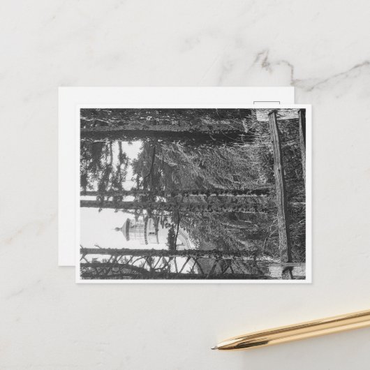 Heceta Head Lighthouse Postcard b&w Postkarte (Vorderseite/Rückseite Beispiel)