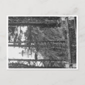 Heceta Head Lighthouse Postcard b&w Postkarte (Vorderseite)