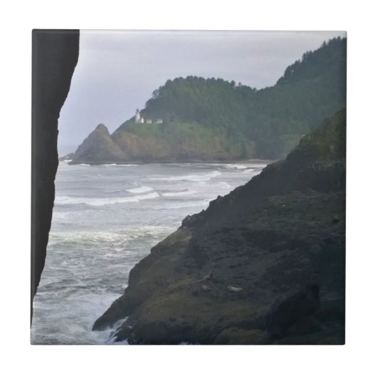 Heceta Head Lighthouse & Sea Lions, OR Fliese (Vorderseite)