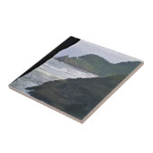 Heceta Head Lighthouse & Sea Lions, OR Fliese (Seite)