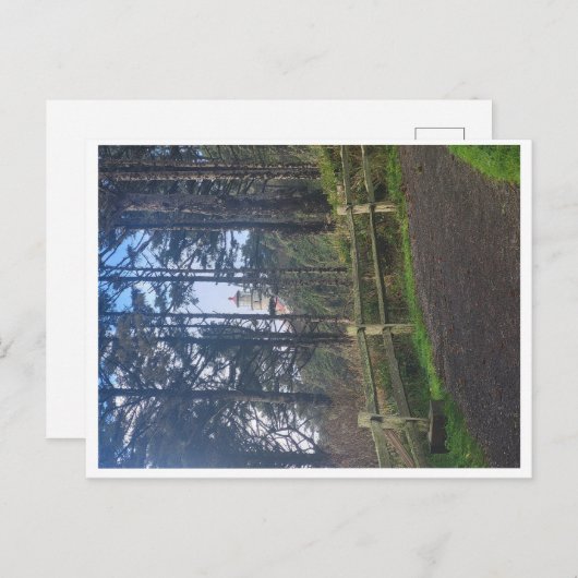 Heceta Kopf Leuchtturm aus Weg Postkarte (Vorne/Hinten)