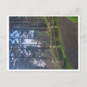 Heceta Kopf Leuchtturm aus Weg Postkarte (Vorderseite)