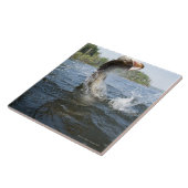 Hechtherausspringen des Wassers in einem See Fliese (Seite)