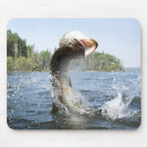 Hechtherausspringen des Wassers in einem See Mousepad