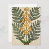 Heck mit gelben Blumen Postkarte (Vorne/Hinten)