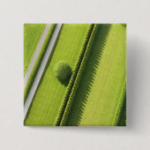 Hecke im Hamptons Button (Vorderseite)