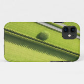 Hecke im Hamptons Case-Mate iPhone Hülle (Rückseite (Horizontal))