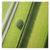 Hecke im Hamptons Fliese (Vorderseite)