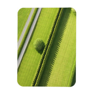 Hecke im Hamptons Magnet