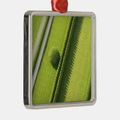 Hecke im Hamptons Ornament Aus Metall (Rechts)