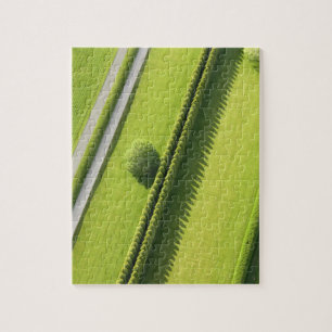 Hecke im Hamptons Puzzle