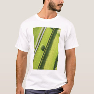 Hecke im Hamptons T-Shirt