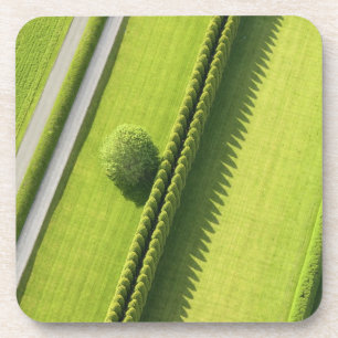 Hecke im Hamptons Untersetzer