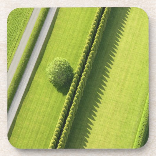 Hecke im Hamptons Untersetzer (Vorderseite)