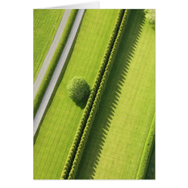 Hecke in den Hamptons (Vorne)