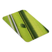 Hecke in den Hamptons Magnet (Rechte Seite)