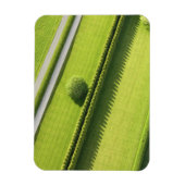 Hecke in den Hamptons Magnet (Vertikal)