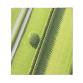 Hecke in den Hamptons Notizblock (Vorderseite)