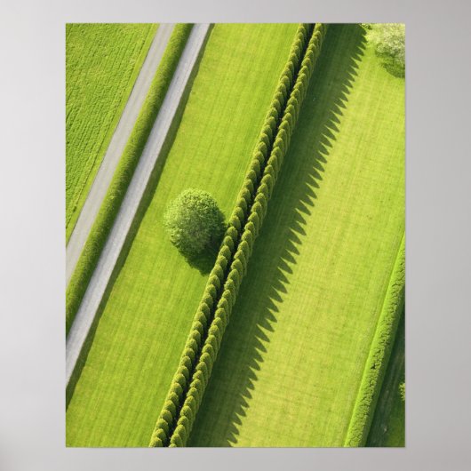 Hecke in den Hamptons Poster (Vorne)