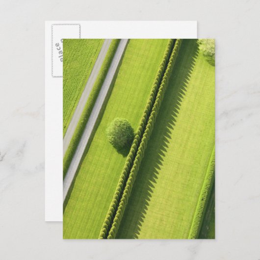 Hecke in den Hamptons Postkarte (Vorne/Hinten)