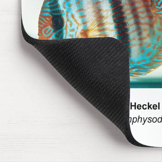Heckel Blue Discus Mousepad (Ecke)