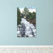 Hector Falls near Seneca Lake View Leinwanddruck (Insitu (Holzboden))