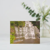 Hector Falls, New York Postkarte (Stehend Vorderseite)