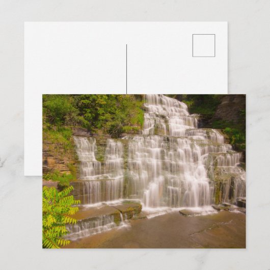 Hector Falls, New York Postkarte (Vorne/Hinten)