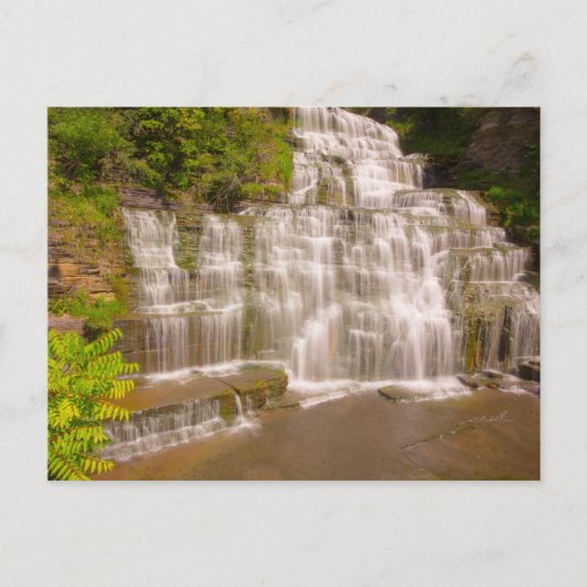 Hector Falls, New York Postkarte (Vorderseite)