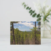 Heddy Zeichn Overlook, Custer Staat Park, SD Postkarte (Stehend Vorderseite)