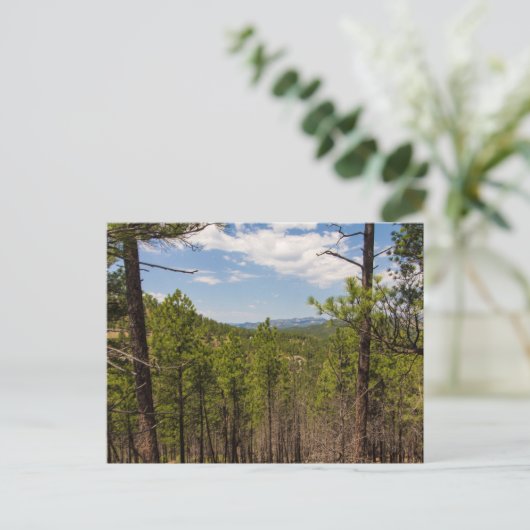 Heddy Zeichn Overlook, Custer Staat Park, SD Postkarte (Stehend Vorderseite)